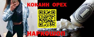 шишки Кандалакша