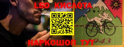 шишки Кандалакша