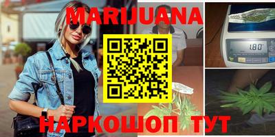 шишки Кандалакша