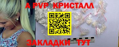 шишки Кандалакша