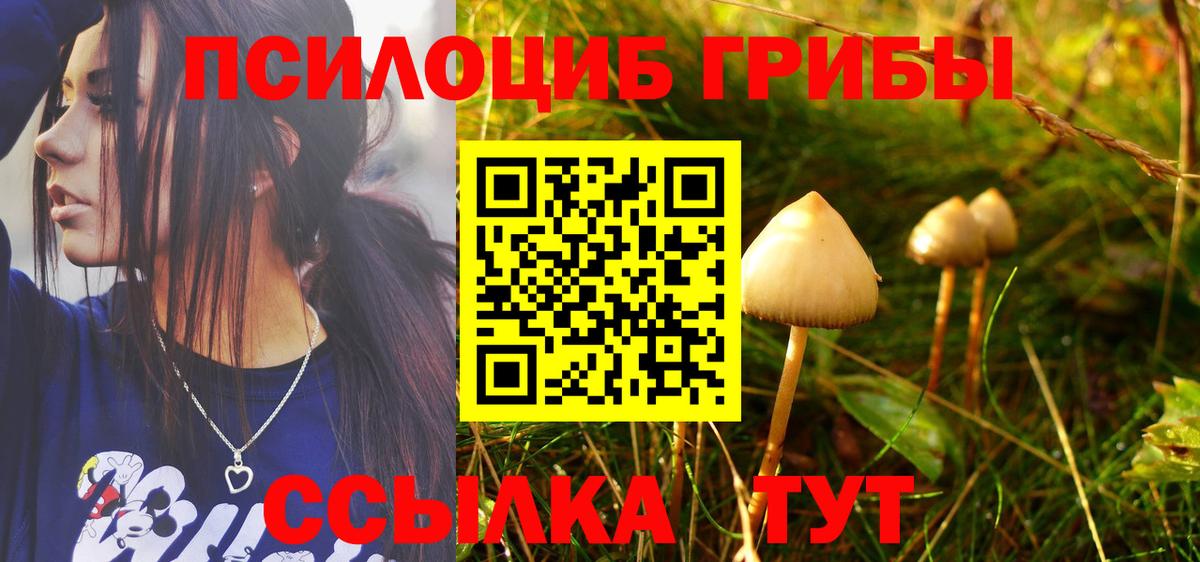 Галлюциногенные грибы Psilocybe  Вход с VPN  Кудрово 